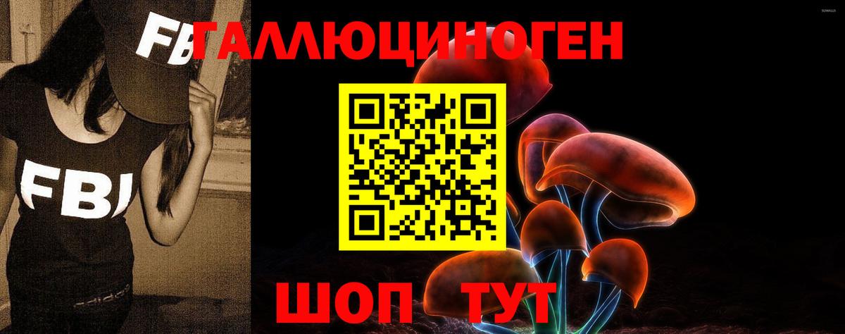 Галлюциногенные грибы Magic Shrooms Карасук