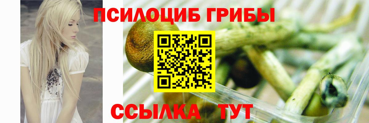 Галлюциногенные грибы мицелий  Галлюциногенные грибы Psilocybine cubensis  купить   Карасук  Вход с VPN 